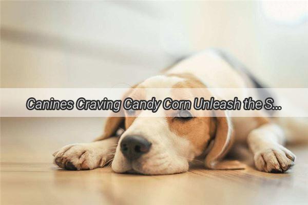 Canines Craving Candy Corn Unleash the Sweet Side of Treats with This DogApproved Snack